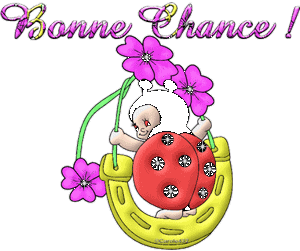 Gif animé bonne chance fer a cheval
